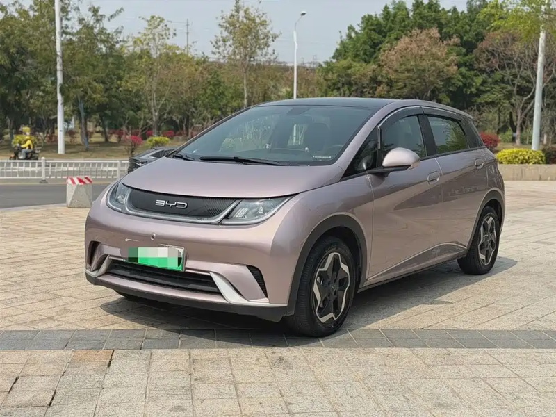 BYD Dolphin