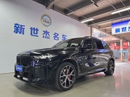 BMW X5 2024