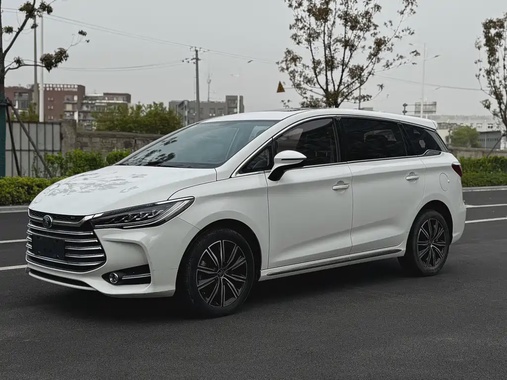 BYD MAX 2021