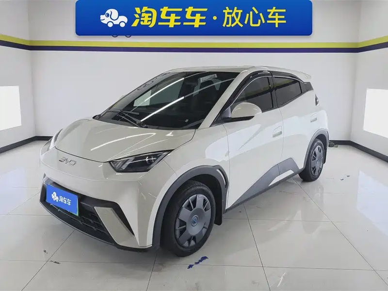 BYD Seagull