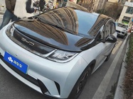 BYD Dolphin 2021