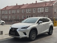 Lexus NX 2021