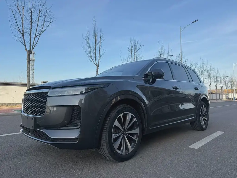 Li Auto ONE