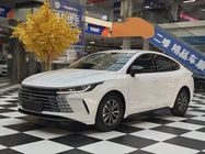 BYD Destroyer 2024