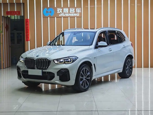 BMW X5 2019