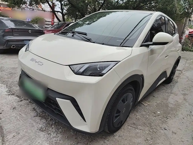 BYD Seagull