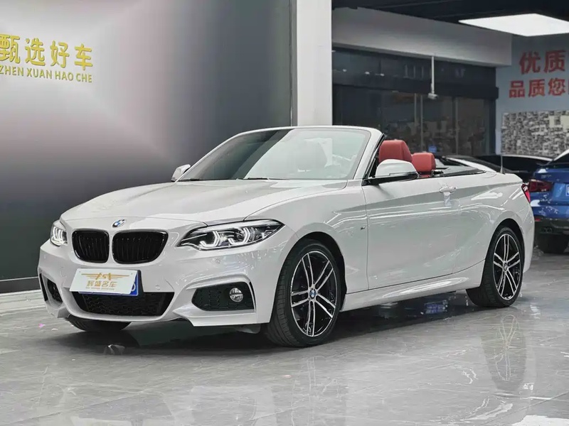 BMW 2 Series