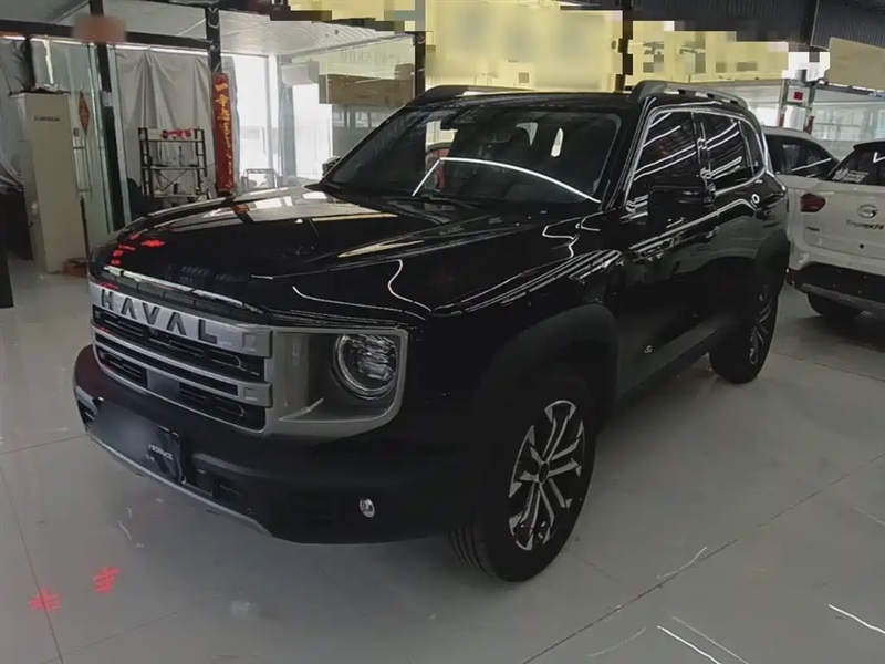 Haval Big Dog