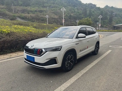 Skoda Kamiq 2021