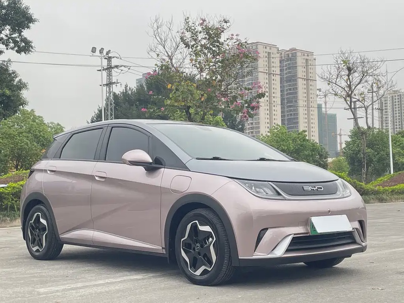 BYD Dolphin