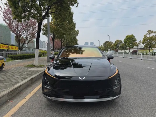 Wuling Xingguang 2024