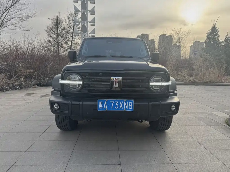 Tank 300