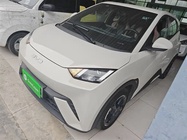 BYD Seagull 2024