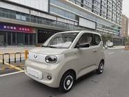 Wuling Mini 2024