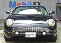 Ford Thunderbird 2004