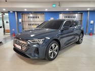 Audi Q8 e-tron 2024