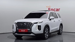 Hyundai Palisade 2019
