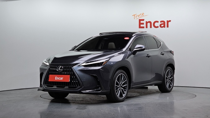 Lexus NX 2024