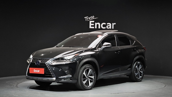 Lexus NX 2018