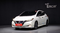 Nissan Leaf 2019