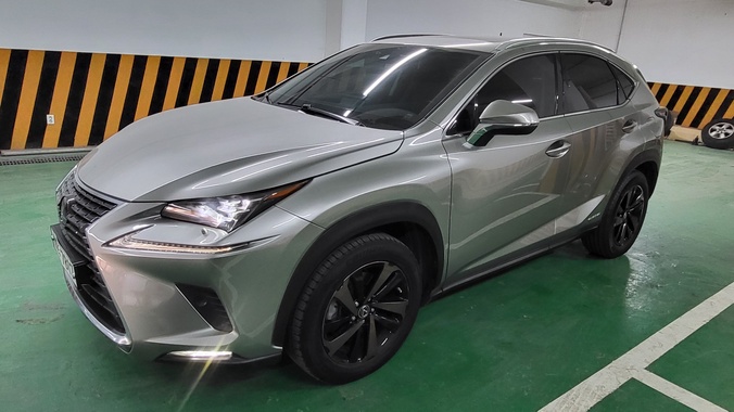 Lexus NX 2019