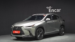 Lexus NX 2022