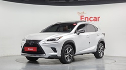 Lexus NX 2019