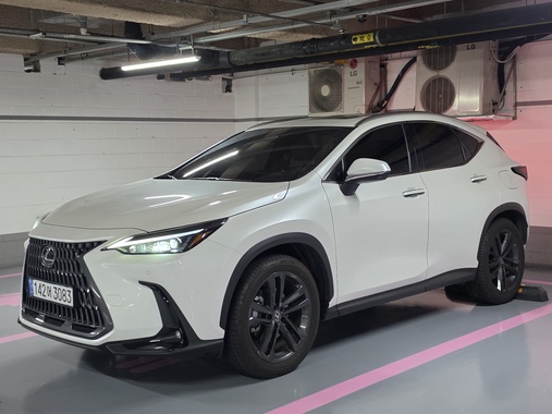 Lexus NX 2025
