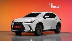 Lexus NX 2023