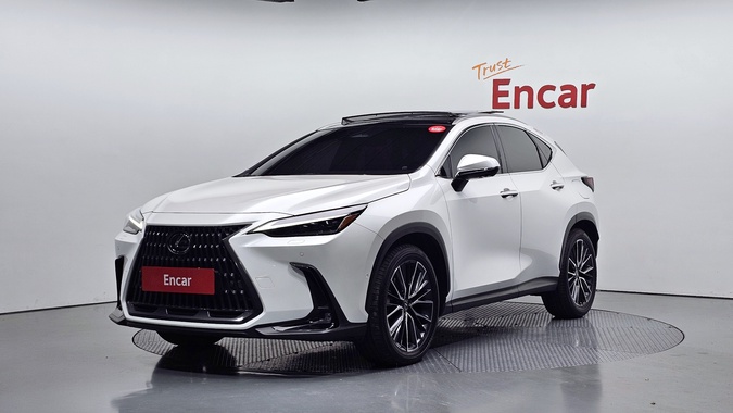 Lexus NX 2024