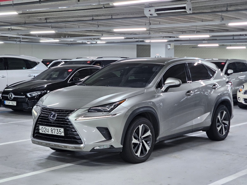 Lexus NX