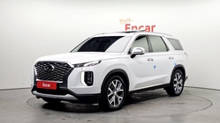 Hyundai Palisade 2019