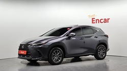 Lexus NX 2022