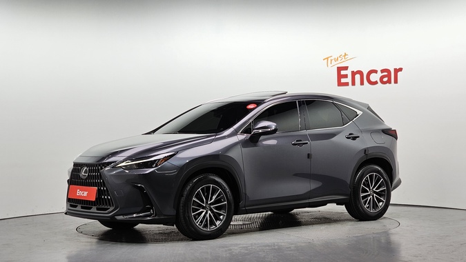 Lexus NX 2022