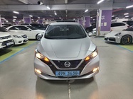 Nissan Leaf 2019
