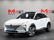Hyundai Nexo 2021