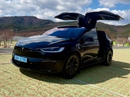 Tesla Model X 2024