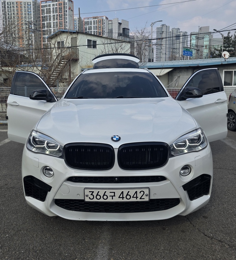 BMW X6