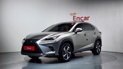 Lexus NX 2019