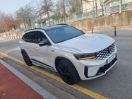 Samsung Grand Koleos 2025