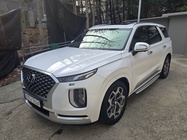 Hyundai Palisade 2020