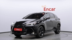 Lexus NX 2023