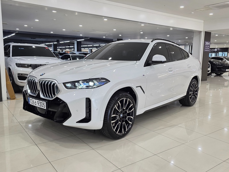 BMW X6
