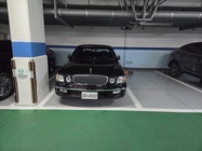 Hyundai Dynasty 2001