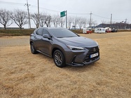Lexus NX 2023