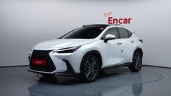Lexus NX 2024