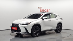 Lexus NX 2024