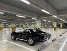 Фото 6