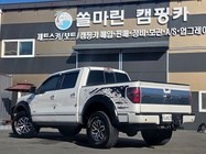 Ford F150 2011