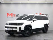 Hyundai Santa Fe 2024